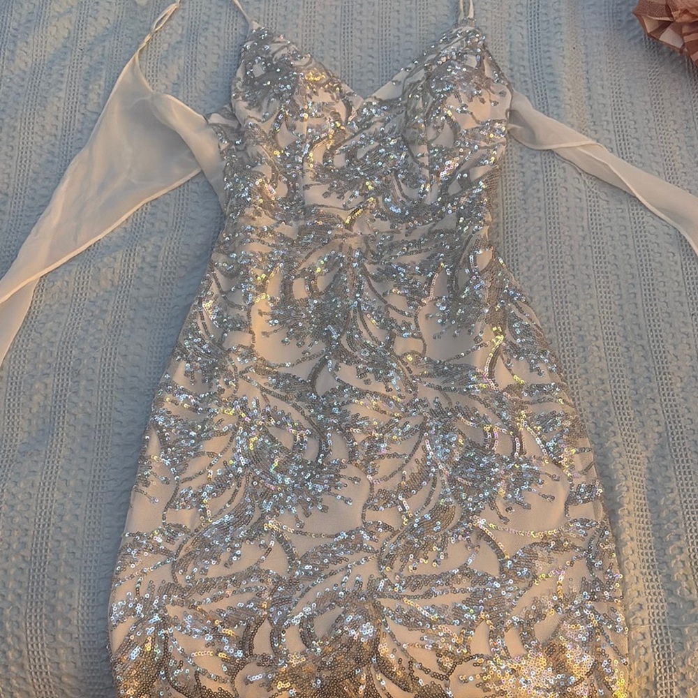 Elegant Silver Sequin Dress
